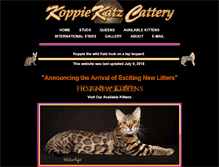 Tablet Screenshot of koppiekatz.com